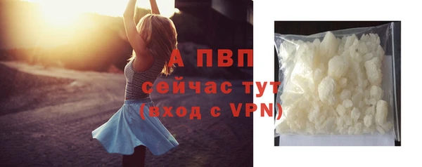 ГАЛЛЮЦИНОГЕННЫЕ ГРИБЫ Надым