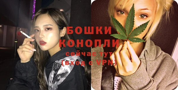 ГАЛЛЮЦИНОГЕННЫЕ ГРИБЫ Надым