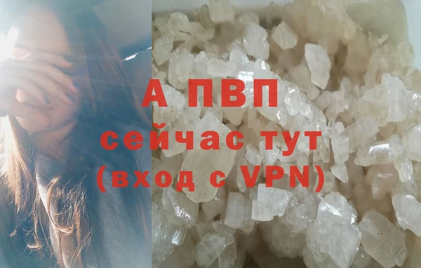 ГАЛЛЮЦИНОГЕННЫЕ ГРИБЫ Надым