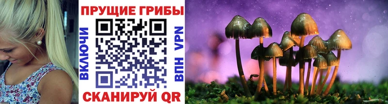 мега рабочий сайт  купить наркотик  Нефтеюганск  Галлюциногенные грибы MAGIC MUSHROOMS 