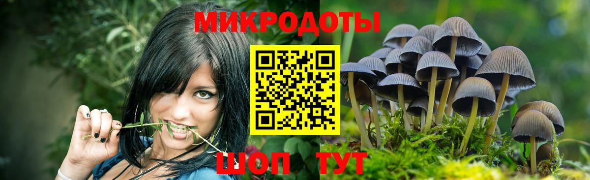 Нефтеюганск  Псилоцибиновые грибы MAGIC MUSHROOMS  Вход с VPN 